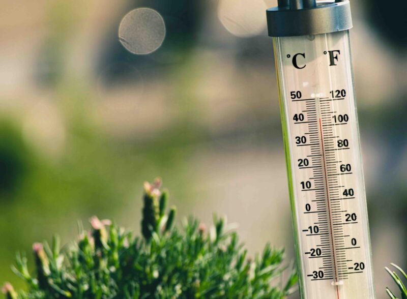気温40℃超え