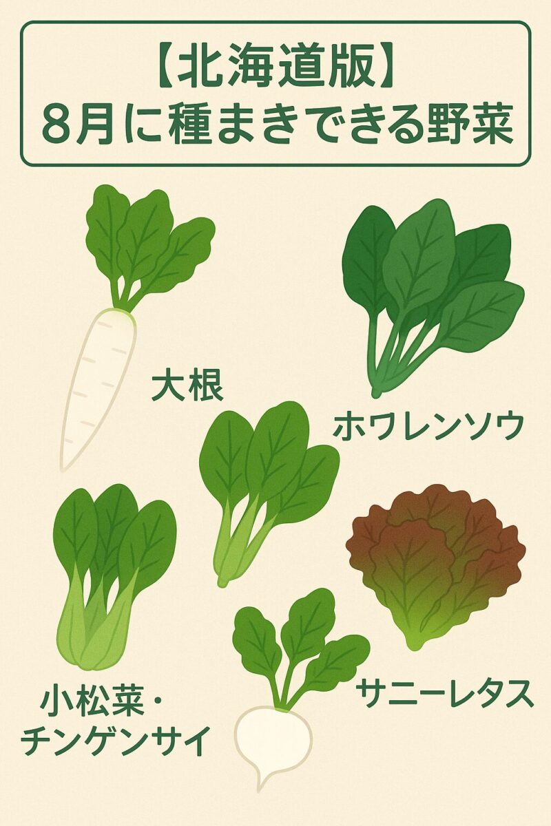 8月に種まく野菜
