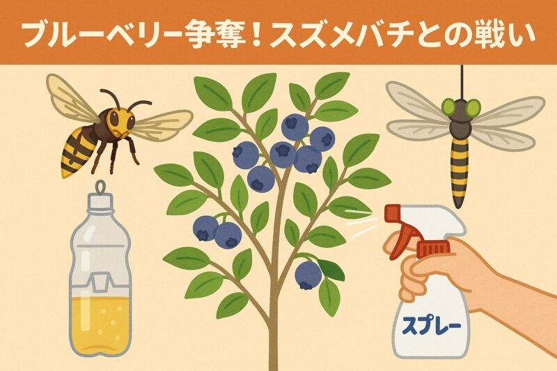 スズメバチとの闘い