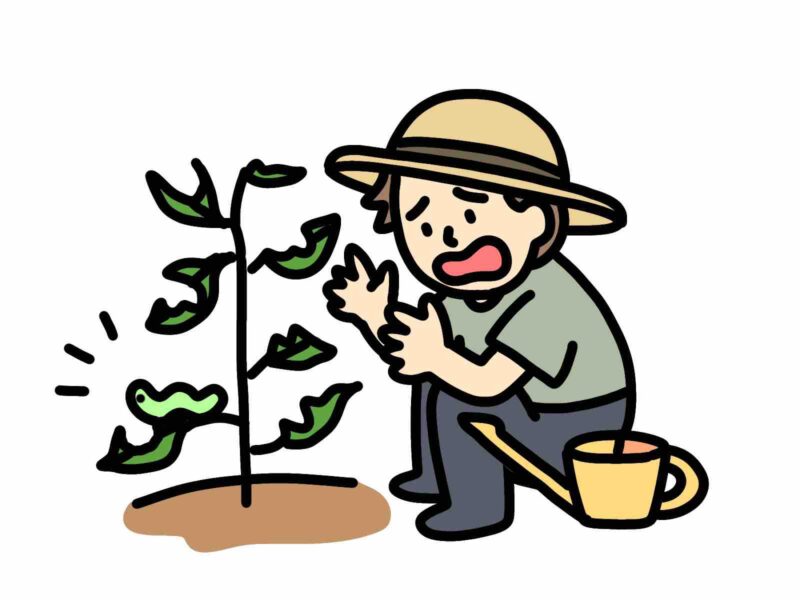 害虫被害