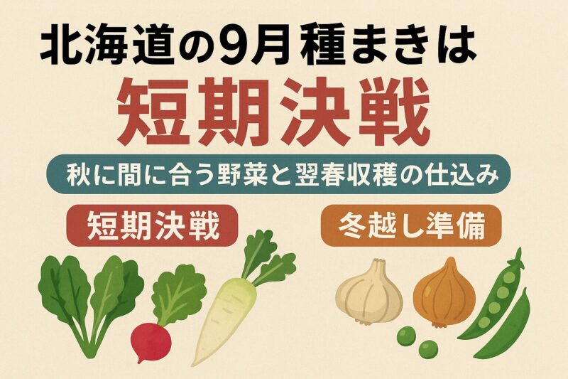 9月種まき