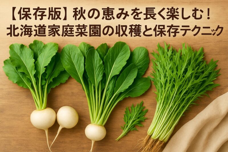 秋野菜保存テクニック
