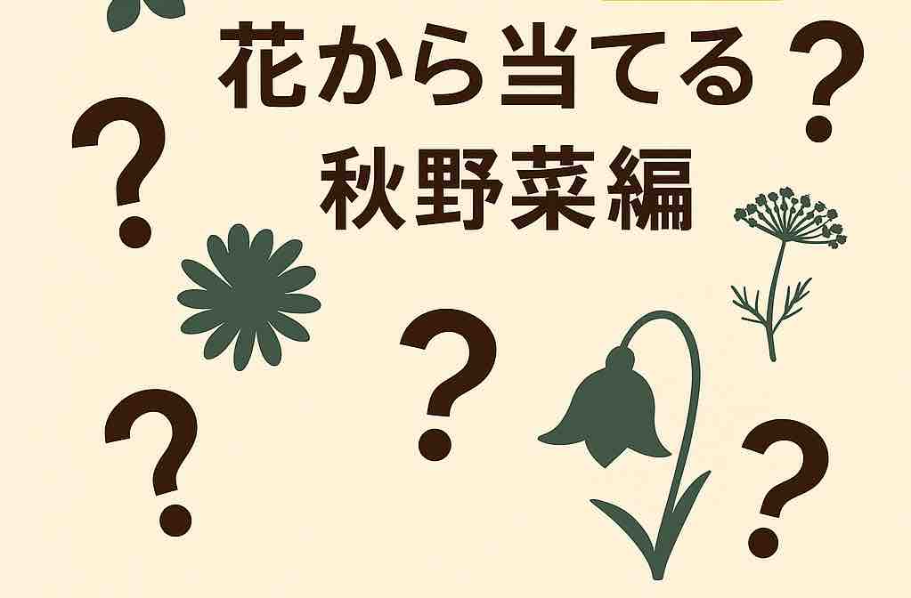 家庭菜園クイズ３