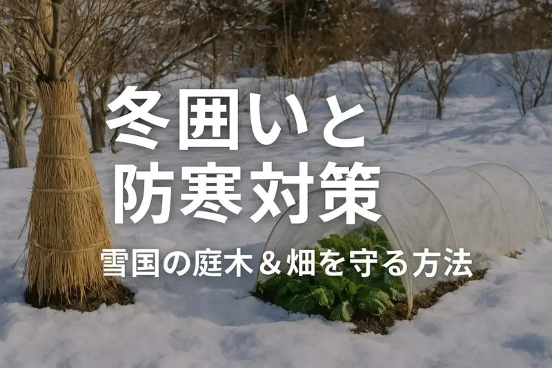 冬囲いと防寒対策の基本｜雪国の庭木＆家庭菜園を守る方法【北海道版