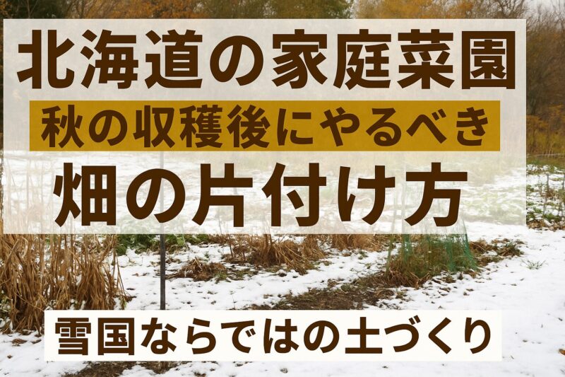 畑の片付け