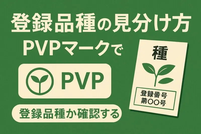 登録品種ってどこで分かる？見分け方・種袋表示と検索方法まとめ