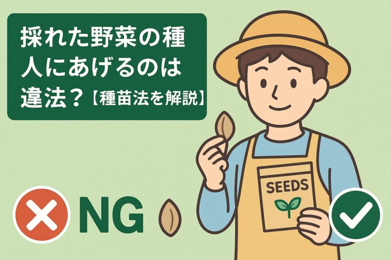 種を人にあげるのは違法か？