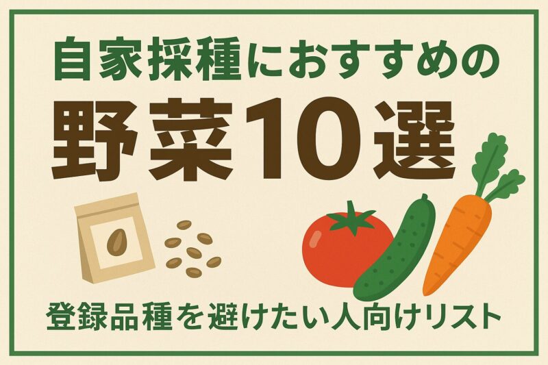 自家採取おすすめ