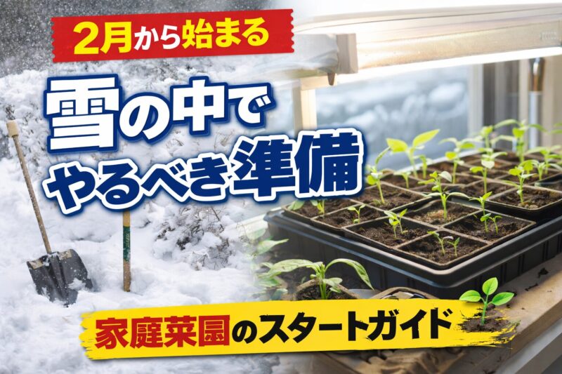 2月　家庭菜園の準備