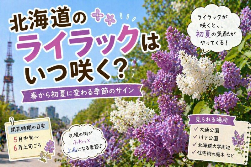 ライラックはいつ咲く